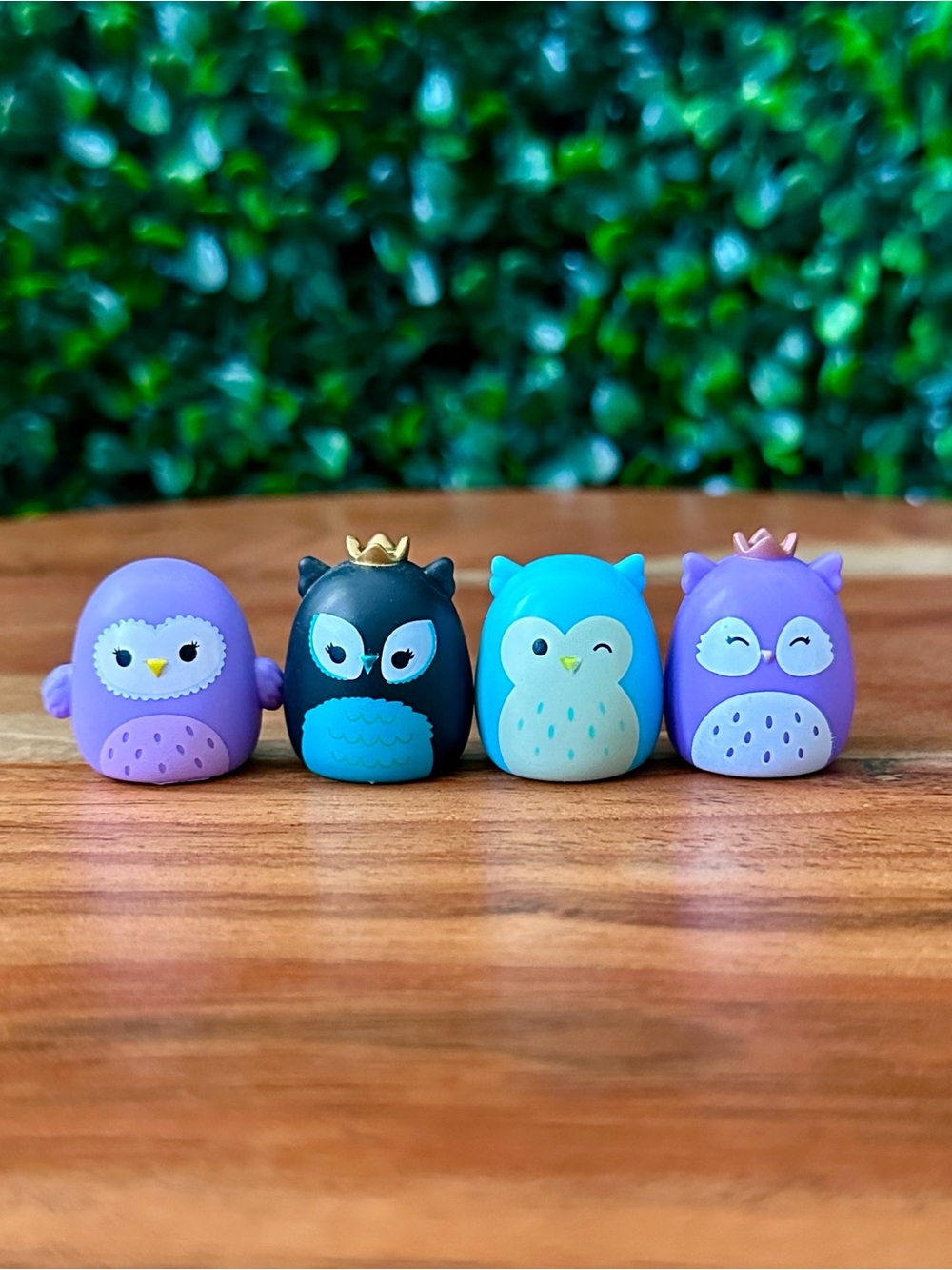 Squish-a-long by Squishmallows Owl Bundle